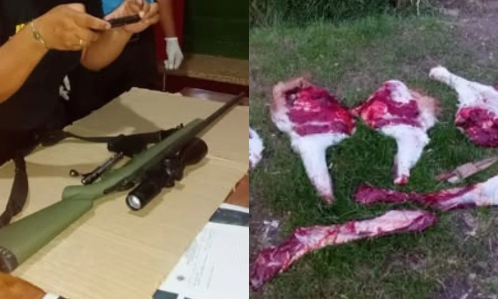 Secuestran armas y un guanaco faenado